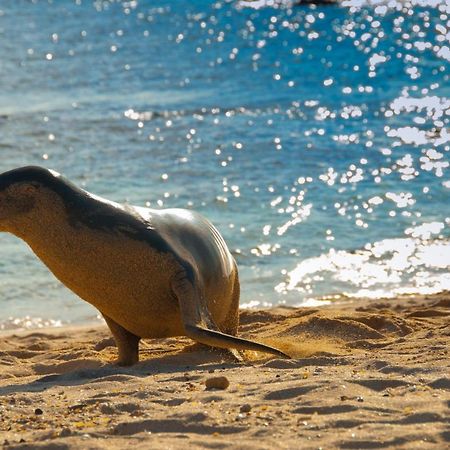 Hostal Albatros San Cristóbal エクステリア 写真