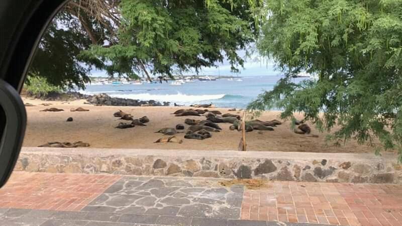 Hostal Albatros San Cristóbal エクステリア 写真
