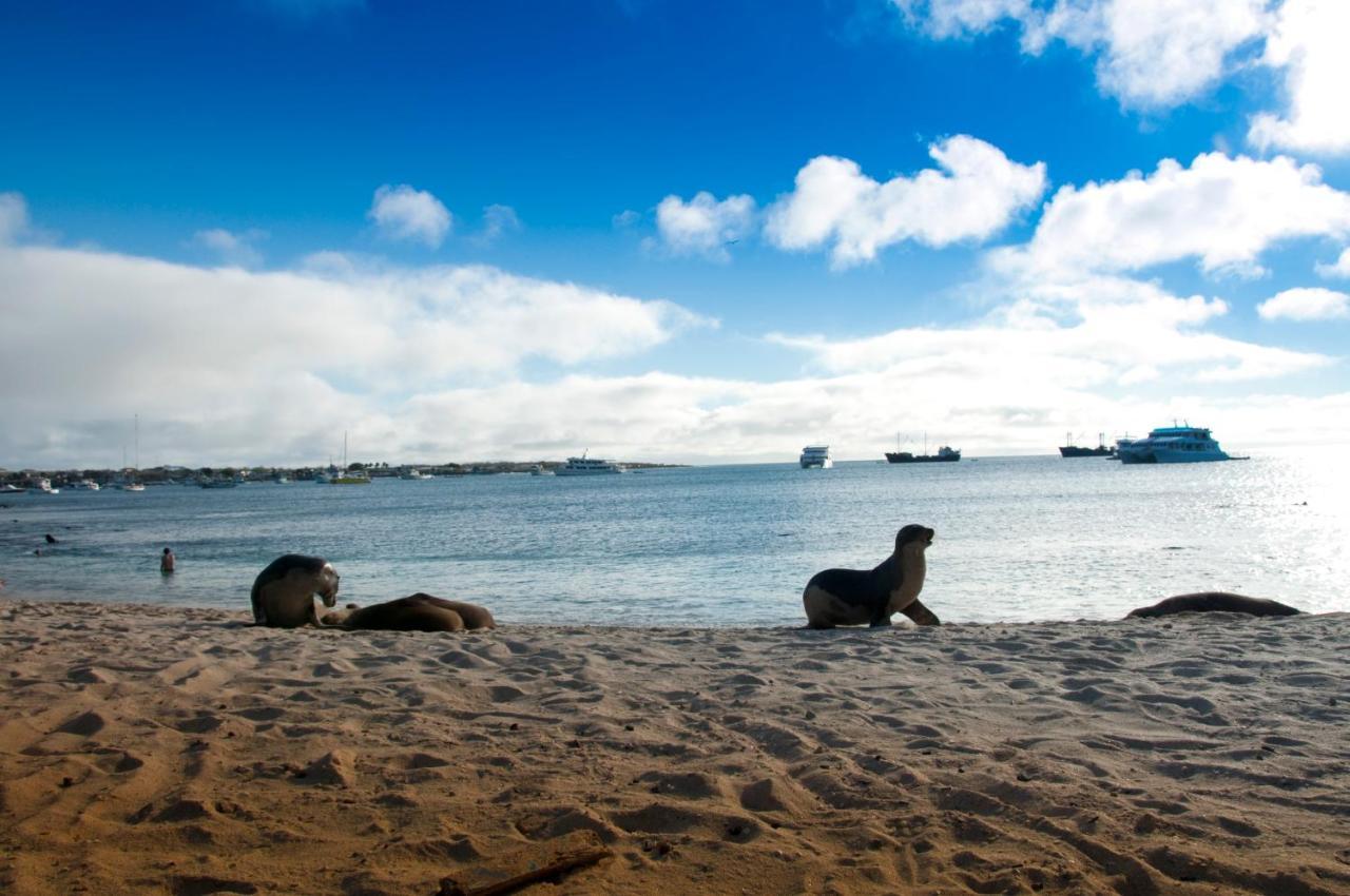 Hostal Albatros San Cristóbal エクステリア 写真