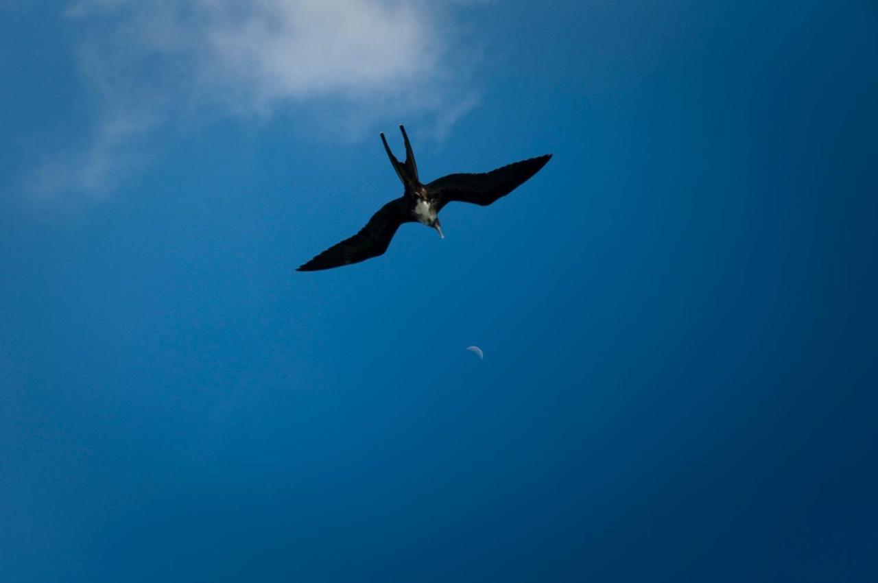 Hostal Albatros San Cristóbal エクステリア 写真