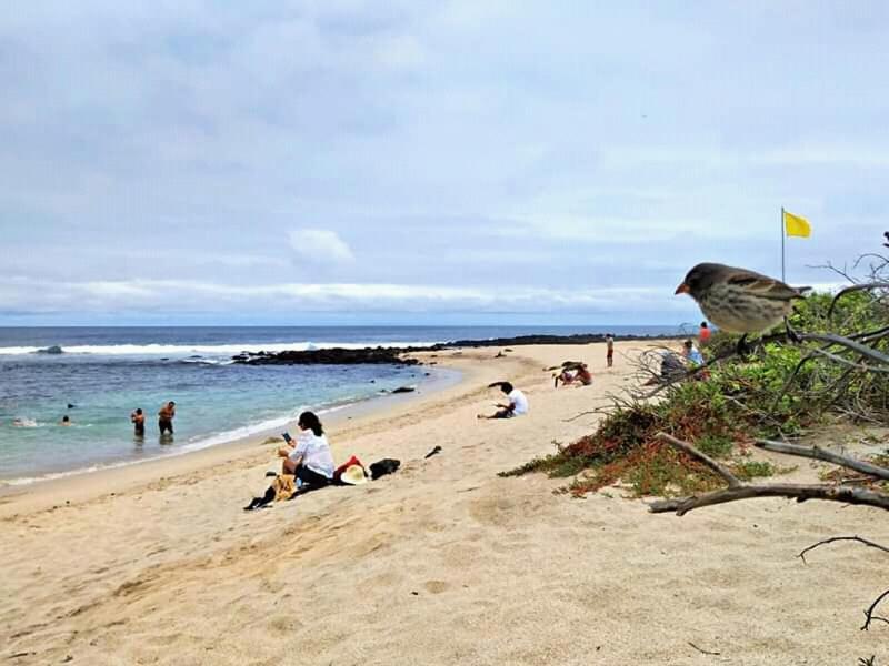 Hostal Albatros San Cristóbal エクステリア 写真